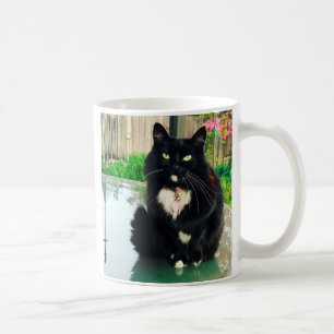 De Café Taza del gatito