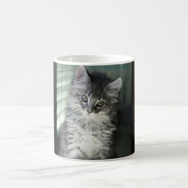 De Café Taza del gato (Centro)