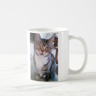 De Café Taza del gato