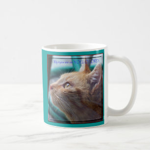 De Café Taza del gato del gatito
