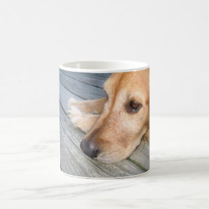 De Café Taza del golden retriever