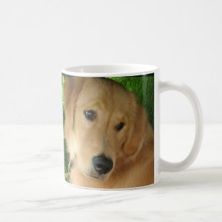 De Café Taza del golden retriever