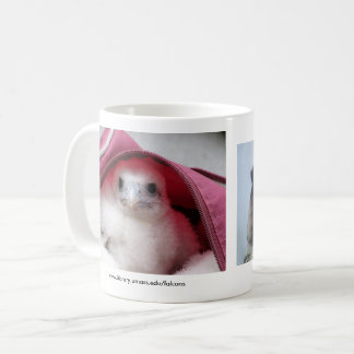 De Café Taza del halcón