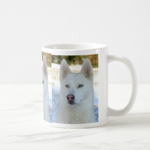 De Café Taza del husky siberiano