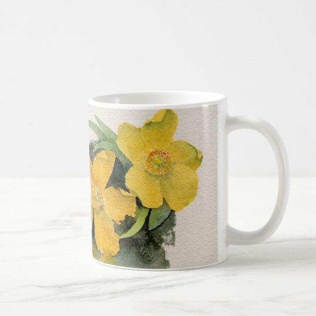 De Café Taza del Hypericum (Derecha)