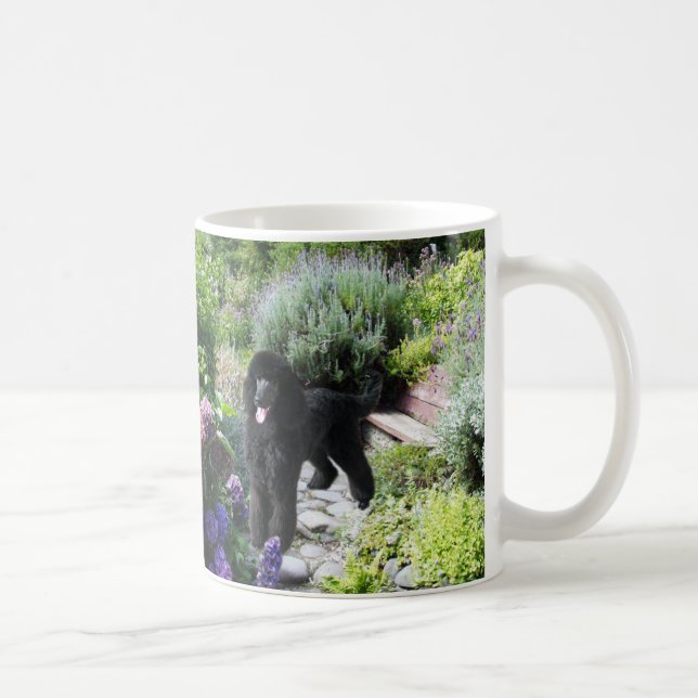 De Café Taza del jardín del caniche (Derecha)