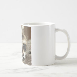De Café Taza del joven del mapache