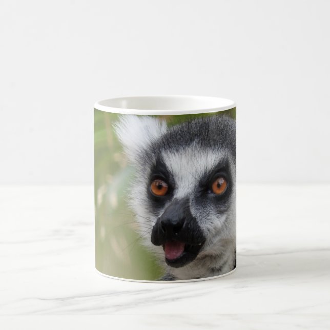De Café Taza del Lemur (Centro)