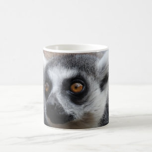 De Café Taza del Lemur