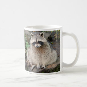 De Café Taza del mapache