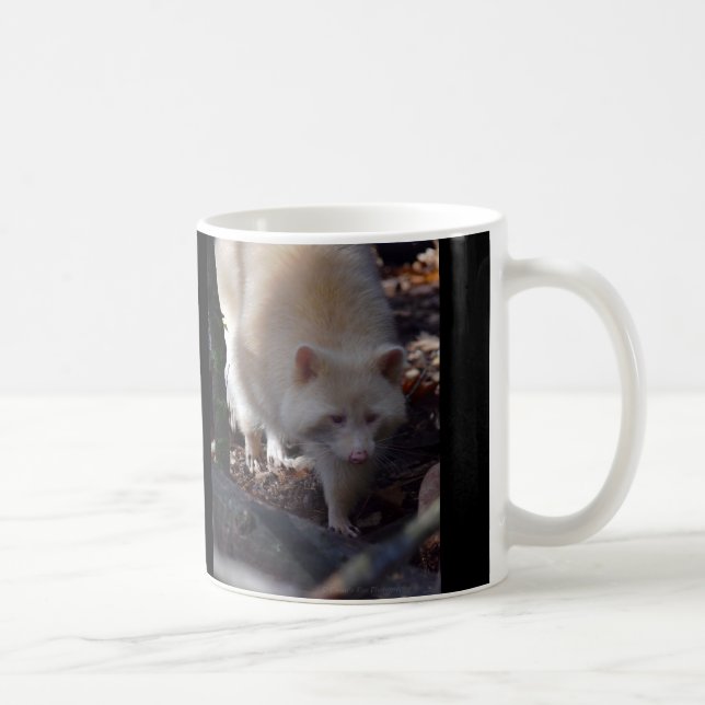 De Café Taza del mapache del albino (Derecha)
