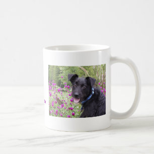 De Café Taza del monarca