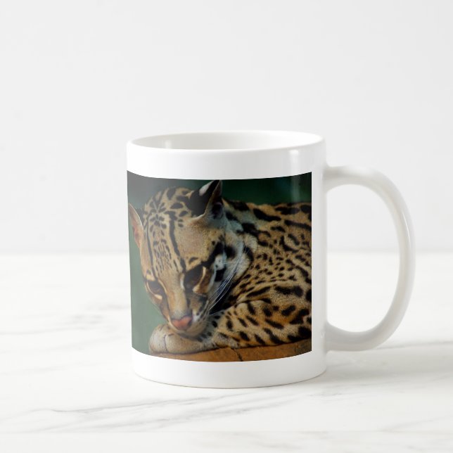 De Café Taza del Ocelot (Derecha)