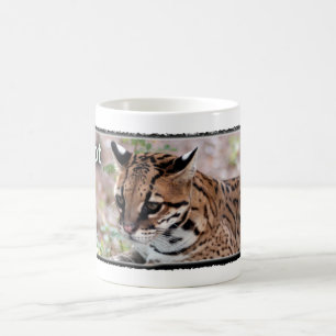 De Café Taza del Ocelot