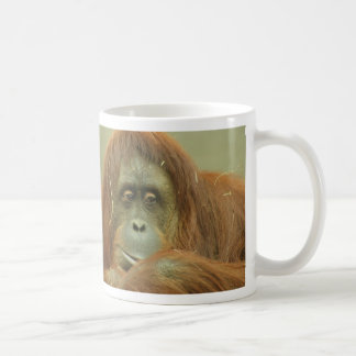 De Café Taza del orangután