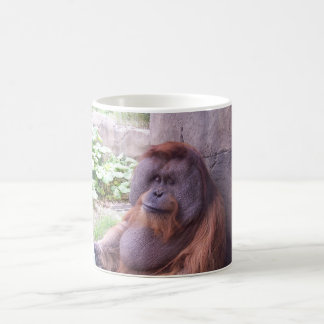 De Café Taza del orangután
