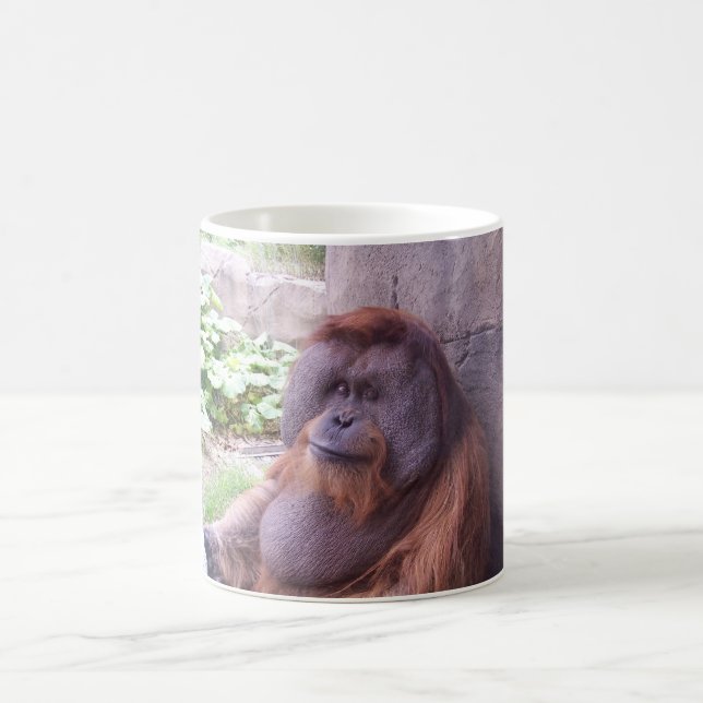 De Café Taza del orangután (Centro)