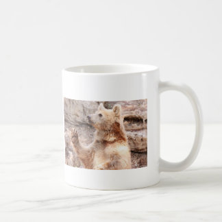 De Café Taza del oso que agita