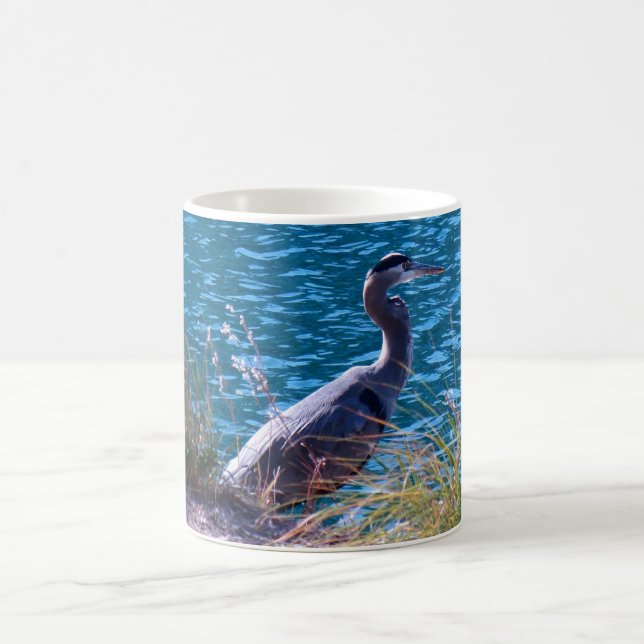 De Café Taza del pájaro (Centro)