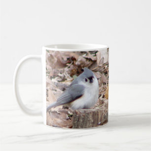 De Café Taza del pájaro del Titmouse copetudo