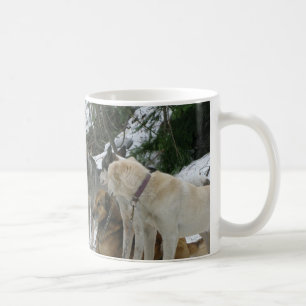De Café Taza del perro
