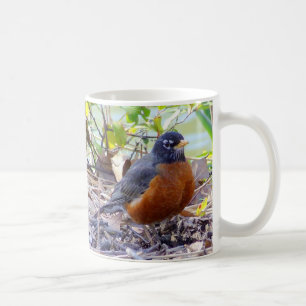 De Café Taza del petirrojo