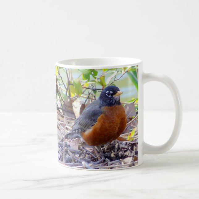 De Café Taza del petirrojo (Derecha)