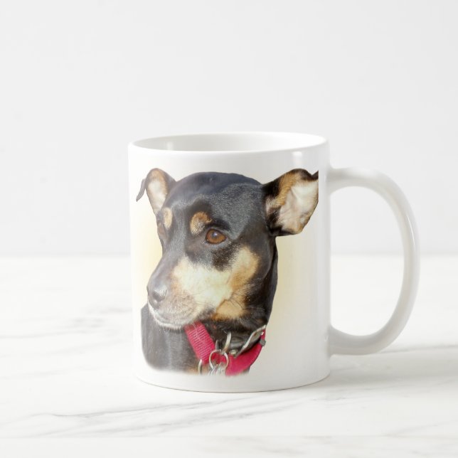 De Café Taza del Pinscher miniatura (Derecha)