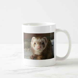 De Café Taza del primer del hurón