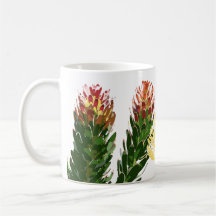 Taza del Protea