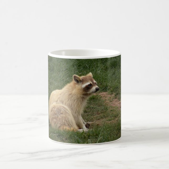 De Café Taza del Racoon (Centro)