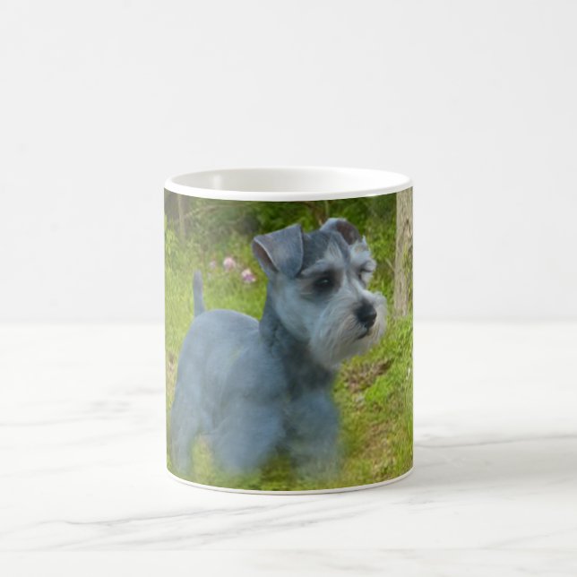 De Café Taza del Schnauzer miniatura (Centro)