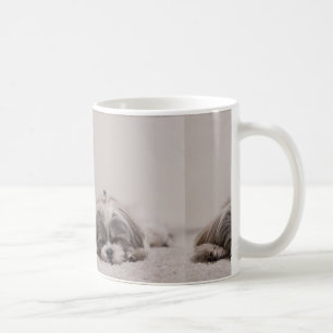 De Café Taza del tzu el dormir Shih, perro el dormir
