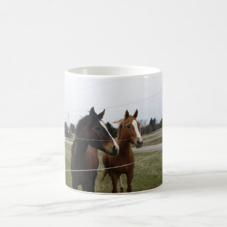De Café Taza Dos Caballos