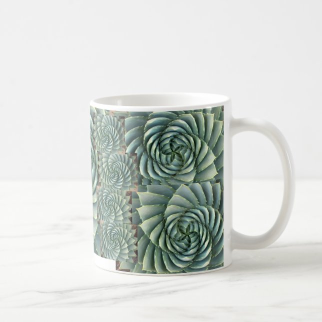 De Café Taza espiral del Succulent del áloe (Derecha)