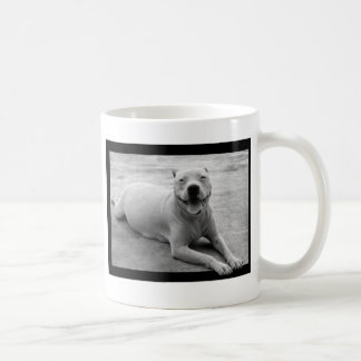 De Café Taza feliz del pitbull