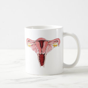 De Café Taza femenina del sistema reproductivo