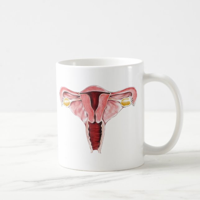 De Café Taza femenina del sistema reproductivo (Derecha)