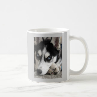 De Café Taza fornida linda
