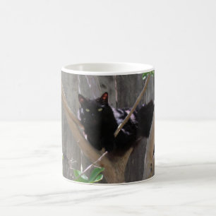 De Café Taza - Gato en ramas