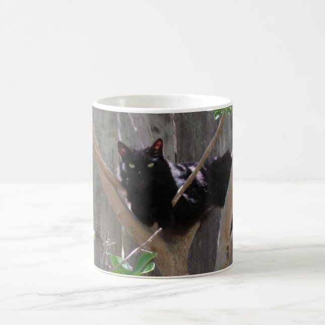 De Café Taza - Gato en ramas (Centro)
