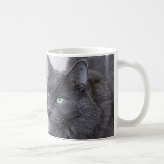 De Café Taza gato gris (Derecha)