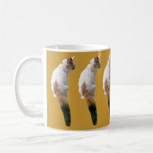 De Café Taza - Gatos Múltiples