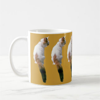 De Café Taza - Gatos Múltiples