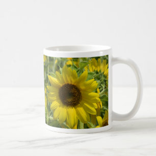 De Café Taza grande del girasol