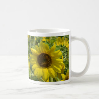 De Café Taza grande del girasol