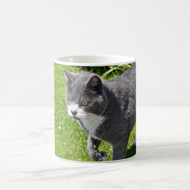 De Café Taza gris y blanca del gato (Centro)