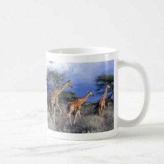 De Café Taza jirafas grupo