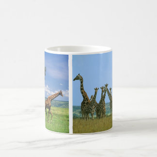 De Café Taza jirafas rebaño