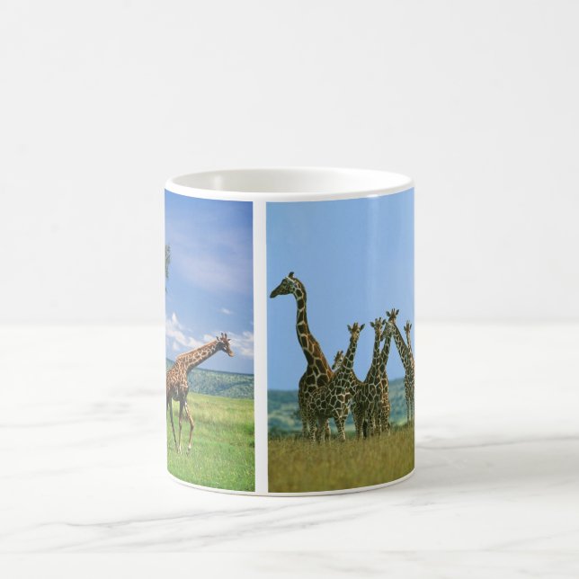 De Café Taza jirafas rebaño (Centro)